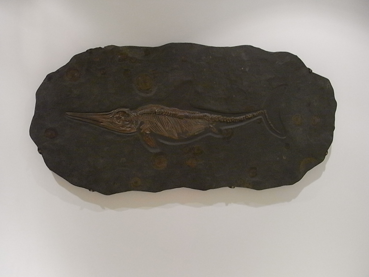 Art installation in Grade II listed private residence